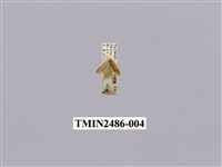 藏品(黃波緣苔蛾)的圖片
